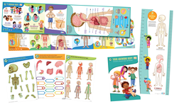 LeapFrog LeapReader Interactive Human Body Discovery Set | Language Arts / Reading