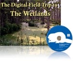 Image The Digital Field Trip to The Wetlands 1.5