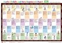 Image Early Childhood Development Chart-Third Edition